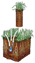 Aeration